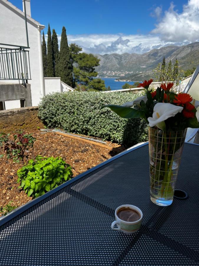 Apartments Epidaurus Cavtat Bagian luar foto